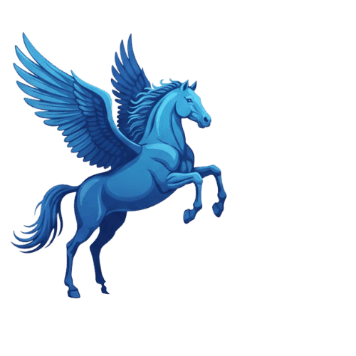 Burak Services